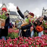 Mengenal Tradisi Belanda melalui Upacara dan Festival di Amsterdam