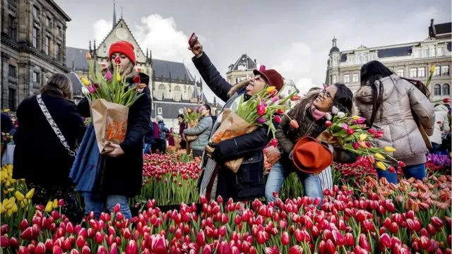 Mengenal Tradisi Belanda melalui Upacara dan Festival di Amsterdam